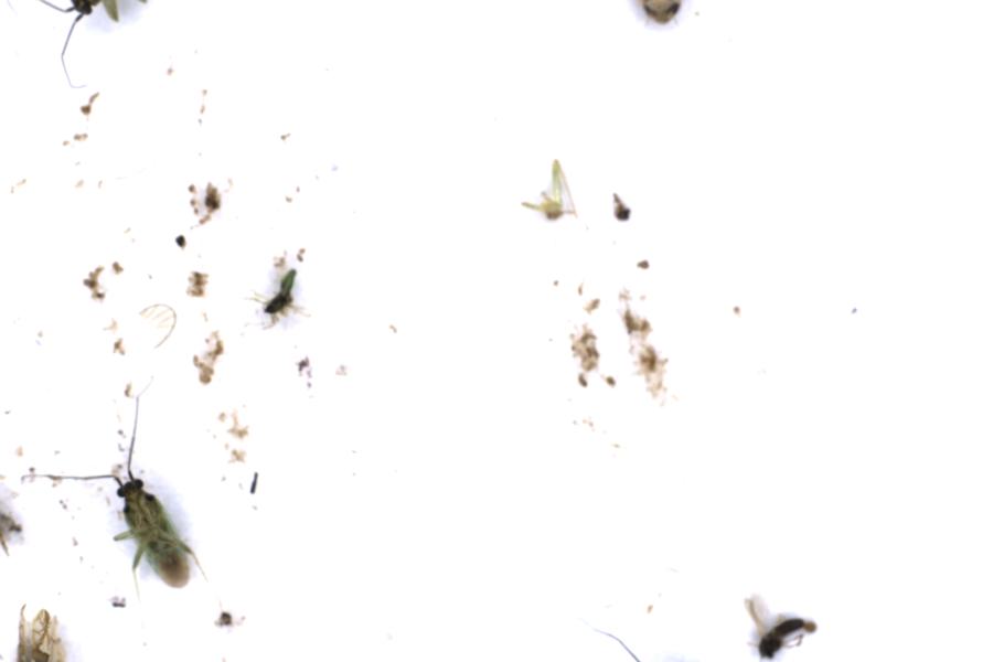 Image 12